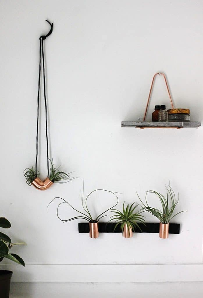 decorar tu casa con plantas de aire 4