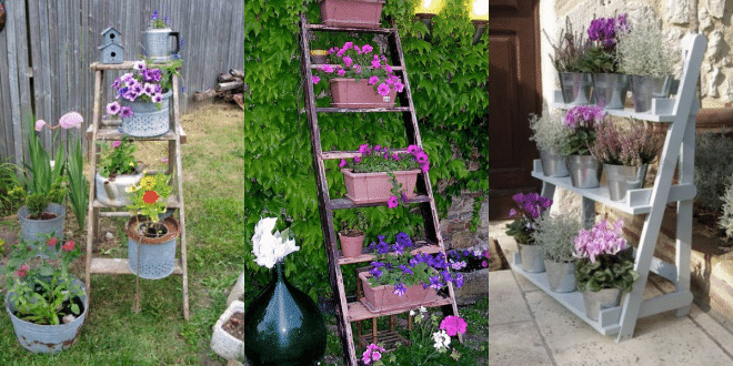 ideas increibles con escaleras de madera al jardin