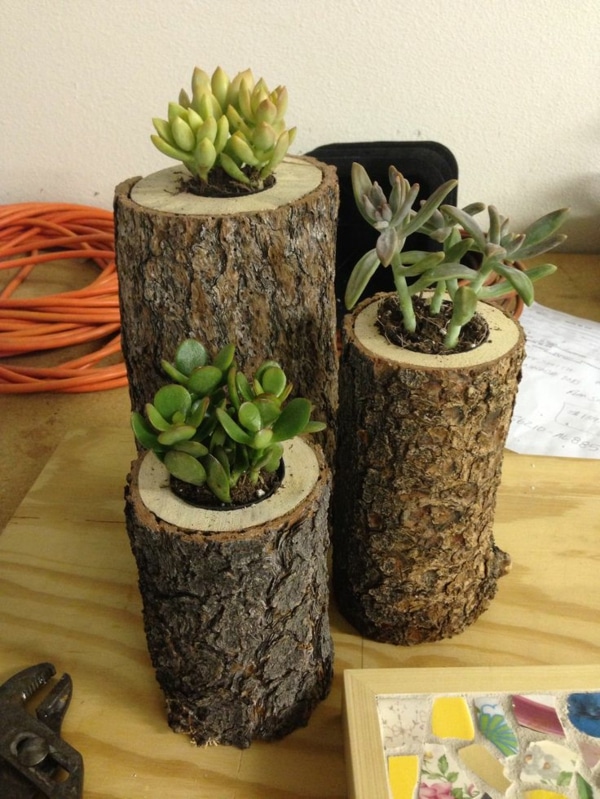 jarrones decorativos con tronco de arbol 1