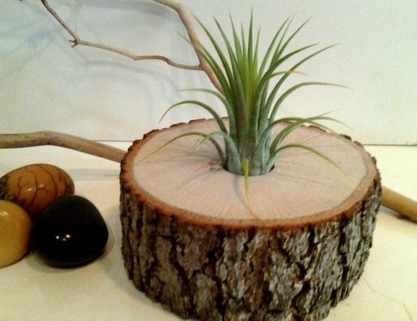 jarrones decorativos con tronco de arbol 4