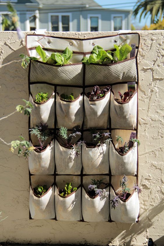 como hacer un jardin de especias en casa 8