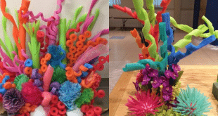 coral hecho con fideos de piscina