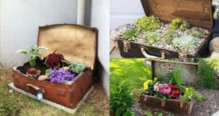 decora el jardin con maletas viejas 11