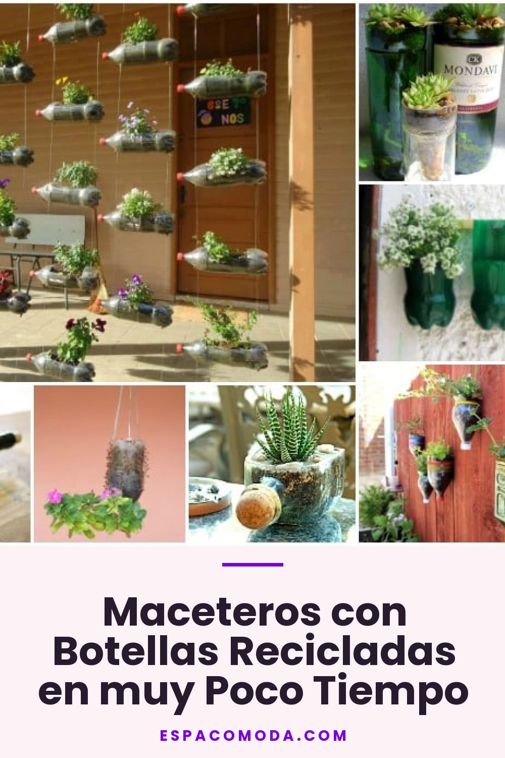 Maceteros con Botellas Recicladas en muy Poco Tiempo