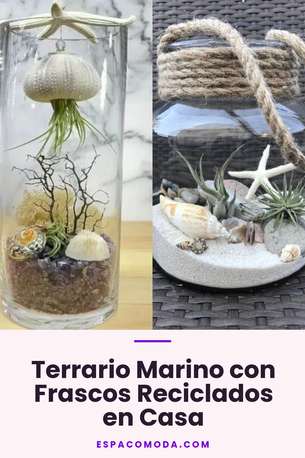 Terrario Marino con Frascos Reciclados en Casa